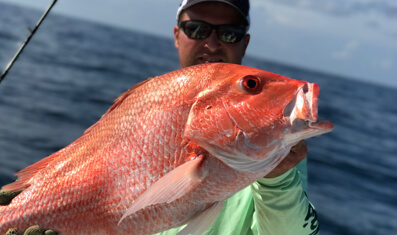 Offshore Red Snapper Trips