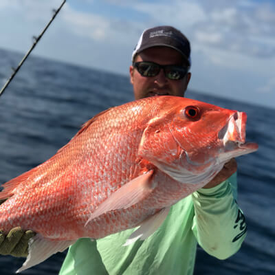 Red Snapper